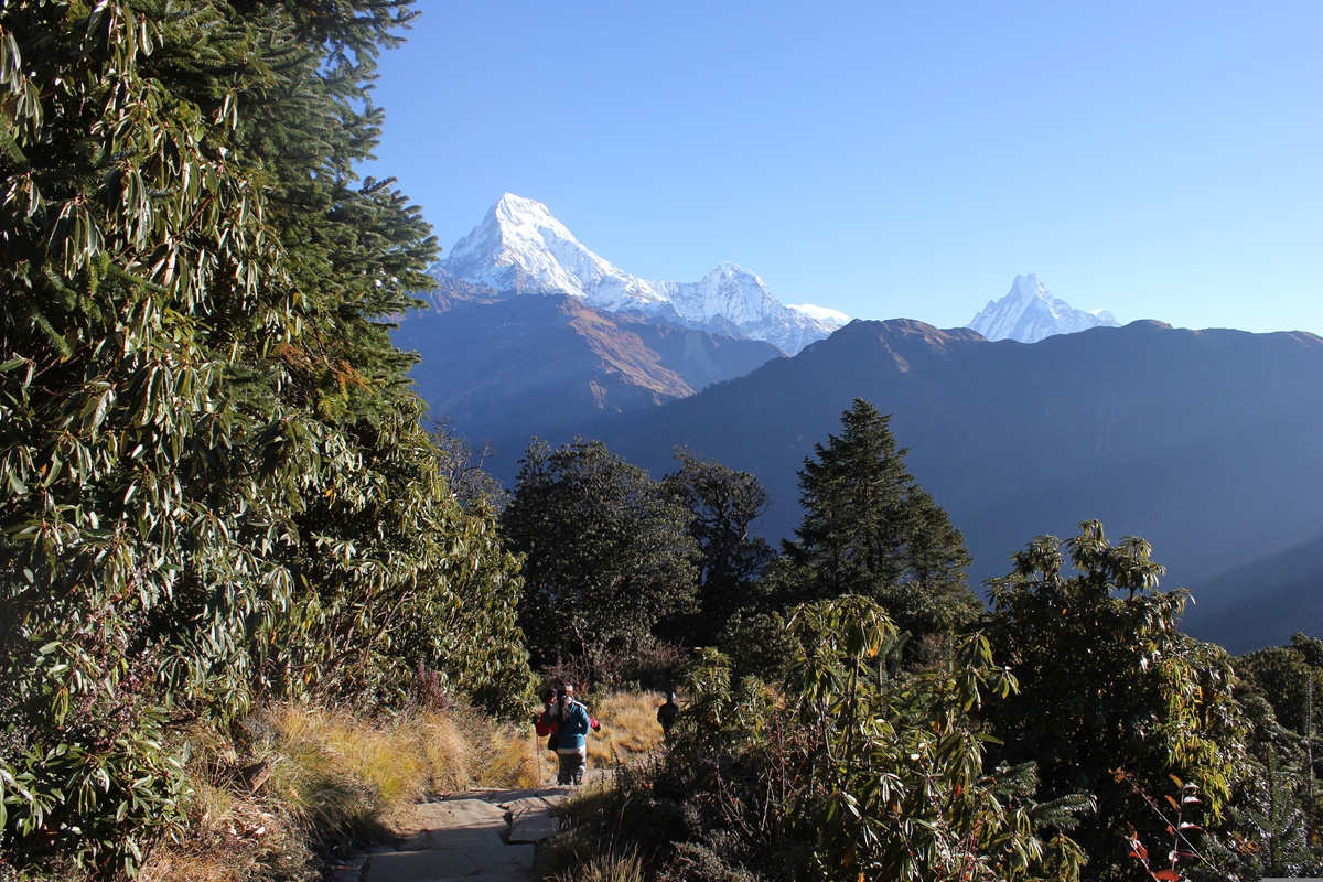 Poon Hill Trek Nepal – die beste Trekkingtour für Anfänger