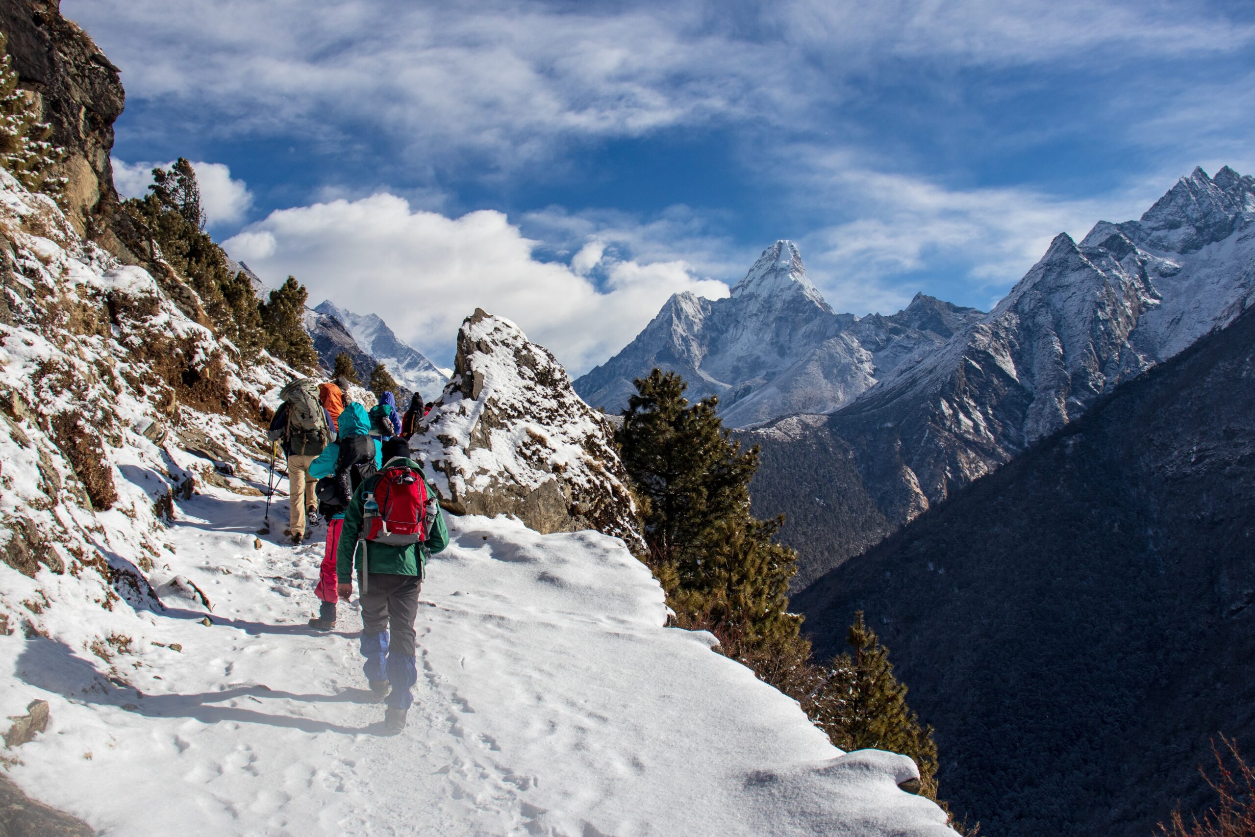 https://reiselokal.com/wp-content/uploads/2026/06/squirrel_photos-himalayas-3989411-scaled.jpg